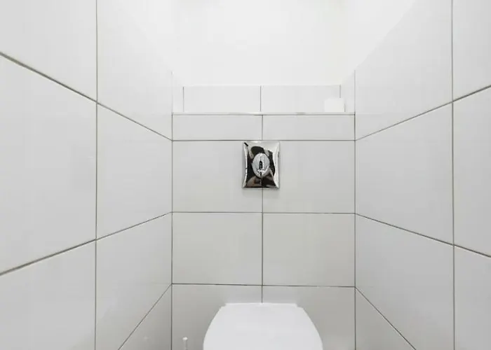 Daire Duplex - Hyper Centre - 44m2 - Proche Place Stanislas